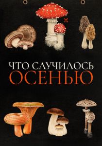 Что случилось осенью (2024) скачать торрентом