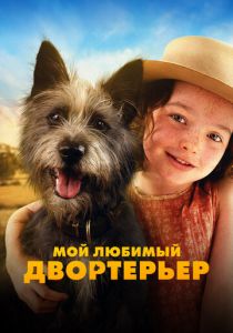 Мой любимый двортерьер (2024) скачать торрентом