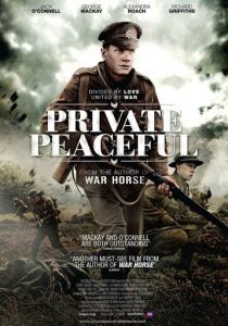 Рядовой Писфул (2012) скачать торрентом