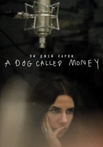 Пи Джей Харви: A Dog Called Money (2019) скачать торрентом