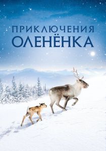 Приключения олененка (2018) скачать торрентом