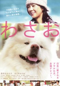 Васао (2011) скачать торрентом