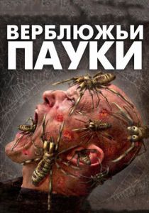 Верблюжьи пауки (2011) скачать торрентом