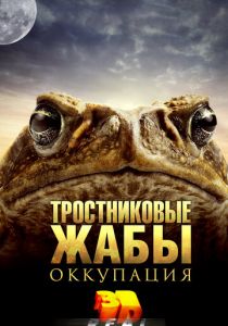 Тростниковые жабы: Оккупация (2010) скачать торрентом